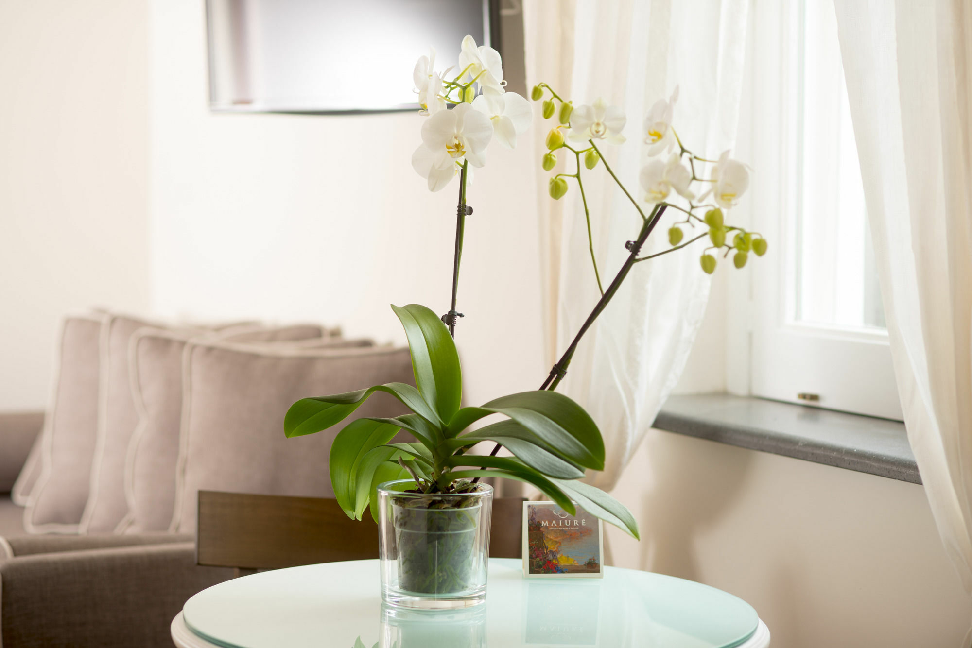 B&B Maiure 마이오리 외부 사진